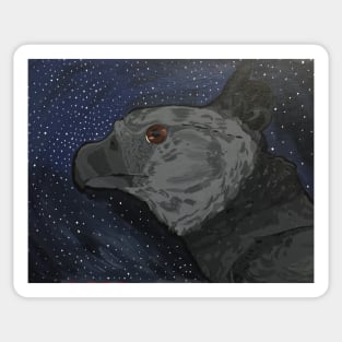 Harpy Eagle Sticker